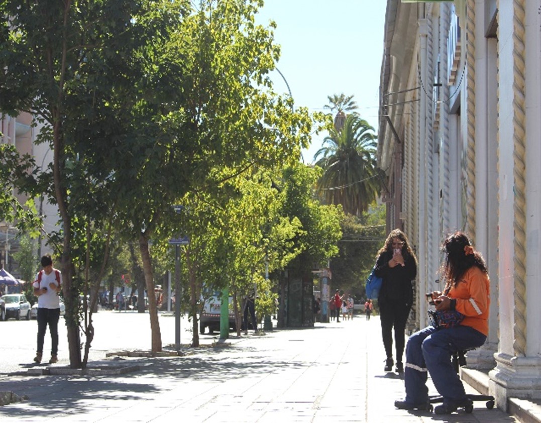 Serviu Valparaíso inicia obras de mejoramiento de rutas peatonales de avenida Pedro Montt con espacios más accesibles e inclusivos